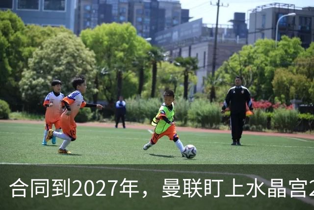 合同到2027年，曼联盯上水晶宫29岁射手马特塔