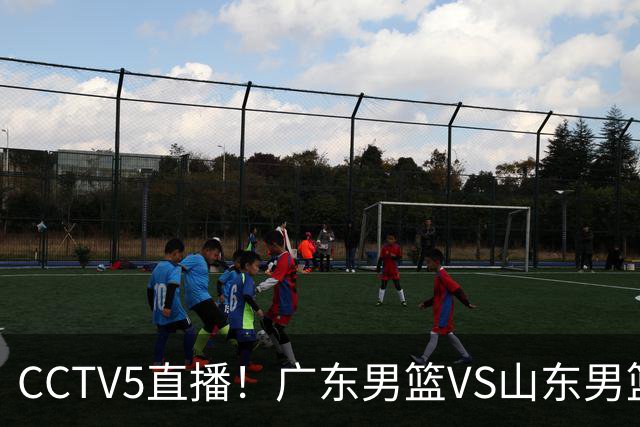 CCTV5直播！广东男篮VS山东男篮，赛前带来广东男篮徐杰、胡明轩、崔永熙以及山东男篮邱彪的最新消息